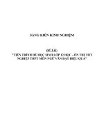 Sáng kiến kinh nghiệm SKKN về tiến trình để học sinh lớp 12 học   ôn thi tốt nghiệp THPT môn ngữ văn đạt hiệu quả 