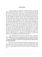 Tiểu luận thực trạng và 1 số giải pháp nhằm cao năng lực cạnh tranh của ngành công nghiệp ô tô tại VN trong quá trình hội nhập WTO 