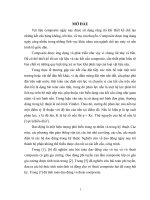 Luận văn phương pháp phần tử hữu hạn cho tấm composite lớp trên nền đàn hồi 