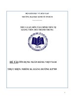 Đề tài Tín dụng Ngân hàng Việt Nam