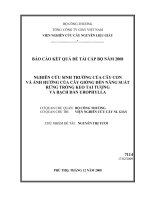 Báo cáo kết quả đề tài cấp Bộ năm 2008 Nghiên cứu sinh trưởng của cây con và ảnh hưởng của cây giống đến năng suất rừng trồng keo tai tượng và bạch đàn Urophylla