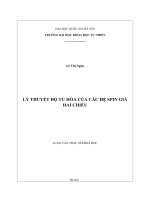 Luận văn lý thuyết độ từ hóa của các hệ spin giả hai chiều 