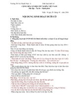 noi dung sinh hoat chao co