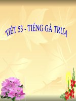 bài giảng ngữ văn lớp 7 tiết 53   tieng ga trua 