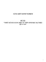 Sáng kiến kinh nghiệm SKKN thiết kế bài giảng điện tử môn sinh học đạt hiệu quả cao 