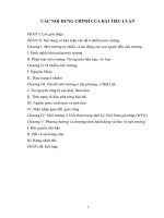 Bài tiểu luận Ô nhiễm môi trường tại tỉnh Đăk Lăk