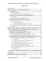 Luận văn năng lực cạnh tranh của các doanh nghiệp bán lẻ việt nam