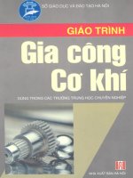 THCN giáo trình gia công cơ khí (NXB hà nội 2005)   nguyễn thế công, 368 trang