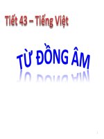 bài giảng ngữ văn lớp 7 tiet 43   tu dong am 
