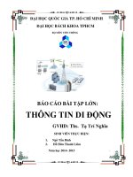 Báo cáo bài tập lớn Thông tin di động - Bài toán về quy hoạch cell