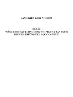 Sáng kiến kinh nghiệm SKKN nâng cao chất lượng công tác phục vụ bạn đọc ở thư viện 