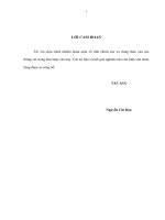 Tăng cường giám sát quản lý hải quan đối với hàng hóa xuất nhập khẩu tại cửa khẩu quốc tế đường bộ Việt Nam - Trung Quốc