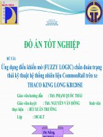 Ứng dụng điều khiển mờ (fuzzy logic) chẩn đoán trạng thái kỹ thuật hệ thống nhiên liệu commonrail ( kèm bản vẽ + thuyết minh word)