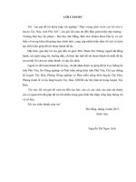 Thực trạng phát triển cây hồ tiêu ở huyện Tây Hòa tỉnh Phú Yên