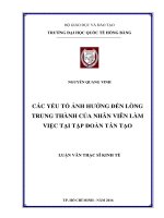 CÁC YẾU TỐ ẢNH HƯỞNG ĐẾN LÒNG TRUNG THÀNH CỦA NHÂN VIÊN LÀM VIỆC TẠI TẬP ĐOÀN TÂN TẠO