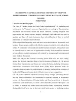 DEVELOPING a GENERAL BUSINESS STRATEGY OF VIETNAM INTERNATIONAL COMMERCIAL JOINT STOCK BANK (VIB) PERIOD 2015 2020