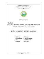 Xử lý nước thải chăn nuôi lợn bằng công nghệ dòng chảy phối hợp sử dụng bèo tây và cỏ vetiver