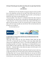 Kế hoạch marketing gói sản phẩm cuộc sống mới của ngân hàng maritime bank 