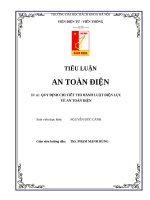 quy định chi tiết thi hành luật điện lực 