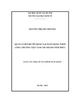 Quản lý rủi ro tín dụng tại ngân hàng TMCP công thương Việt Nam chi nhánh Vĩnh Phúc