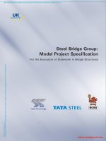 A078  steel bridge group model project specification