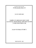 Nghiên cứu bệnh giun móc ở chó tại 3 huyện, thành thuộc tỉnh thái nguyên và biện pháp phòng trị 