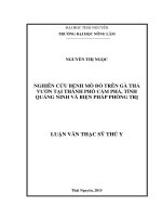 Nghiên cứu bệnh mò đỏ trên gà thả vườn tại thành phố cẩm phả, tỉnh quảng ninh và biện pháp phòng trị 