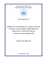 Nghiên cứu ảnh hưởng của n 3HUFA bổ sung và thức ăn giun nhiều tơ đến hiệu quả sinh sản của tôm chân trắng (litopenaeus vannamei boone, 1931) 