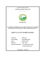 Xác định tạp nhiễm salmonella trong thịt lợn tại thành phố thái nguyên bằng kĩ thuật sinh học phân tử  