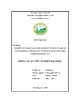 Nghiên cứu phân lập gene syrb 2 ừ chủng vi khuẩn pseudomonas syringae pv  syringae sinh tổng hợp syringomycin cao  