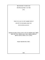 ĐÁNH GIÁ KHẢ NĂNG CUNG CẤP LÂN TRONG ĐẤT TRÊN MỘT SỐ VÙNG TRỒNG RAU MÀU TRỌNG ĐIỂM Ở ĐỒNG BẰNG SÔNG CỬU LONG.PDF