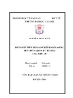Đánh giá mức độ sao chép hMAM mRNA, survivin mRNA từ tế bào ung thư vú