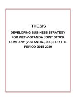 DEVELOPING BUSINESS STRATEGY FOR VIET v STANDA JOINT STOCK COMPANY