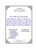 PHÂN TÍCH CÁC NHÂN TỐ ẢNH HƯỞNG ĐẾN LÒNG TRUNG THÀNH CỦA SINH VIÊN TRƯỜNG ĐẠI HỌC KINH TẾ HUẾ ĐỐI VỚI DỊCH VỤ THÔNG TIN DI ĐỘNG MOBIFONE