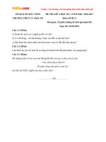 Đề thi giữa học kì 1 môn Sinh học lớp 11 trường THPT Lý Thái Tổ, Bắc Ninh năm học 2016 - 2017