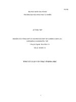 Tóm tắt nghiên cứu tổng hợp và chuyển hóa một số 2 AMINO 4 ARYL 4h CHROMEN 3 CACBONITRIL thế 