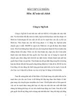 BÀI tập cá NHÂN môn tài chính kế toán công ty sigtech 