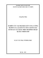Nghiên cứu tạo hệ đệm giúp tăng cường độ bền của Allicin từ tỏi và bước đầu đánh giá tác dụng trên mô hình chuột bị máu nhiễm mỡ