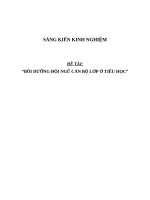 Sáng kiến kinh nghiệm SKKN bồi dưỡng đội ngũ cán bộ lớp ở tiểu học 