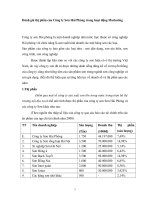 Đánh giá thị phần của công ty sơn hải phòng trong hoạt động marketing