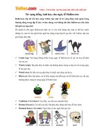Từ vựng tiếng Anh hay cho ngày lễ Halloween