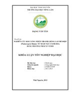 Nghiên cứu khả năng nhân nhanh giống lan hồ điệp (phalaenopsis blume) từ mầm ngủ cành hoa bằng phương pháp in vitro  