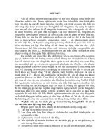 Tóm tắt nghiên cứu các tác nhân gây gỉ và môi trường lưu giữ đối với các di vật văn hóa chất liệu hợp kim đồng 