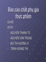 Bao cáo chất phụ gia thực phẩm