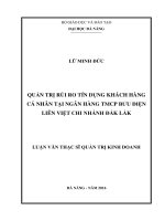 Luận văn thạc sĩ quản trị rủi ro tín dụng khách hàng cá nhân tại ngân hàng TMCP bưu điện liên việt   chi nhánh đắk lắk 