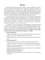 Nghiên cứu thu nhận Coenzyme Q10 từ chủng Agrobacterium tumefaciens tái tổ hợp