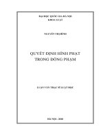 Luận văn Thạc sĩ Luật học Quyết định hình phạt trong đồng phạm