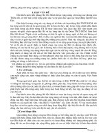 Sáng kiến kinh nghiệm phương pháp bồi dưỡng ban chấp hành liên đội