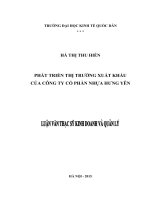 Phát triển thị trường xuất khẩu của Công ty cổ phần Nhựa Hưng Yên