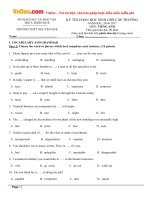 Đề thi chọn HSG cấp trường môn Tiếng Anh THPT Nguyễn Huệ, Thừa Thiên Huế năm học 2016 - 2017 có đáp án